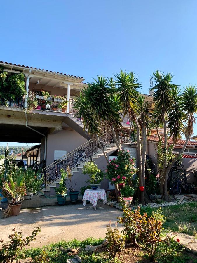Zygas House *